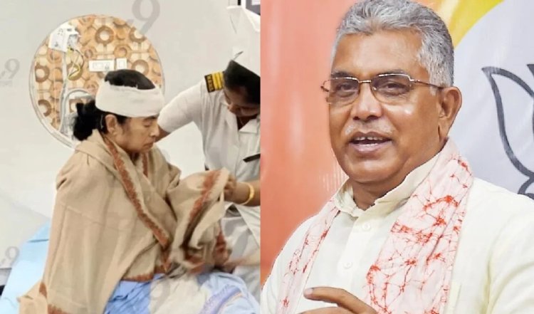 खुद को शेरनी बताने वालीं घर में बिल्ली की तरह... घायल ममता बनर्जी पर दिलीप घोष ने कसा तंज