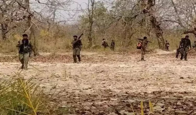 Chhattisgarh के बीजापुर में मुठभेड़ में दो नक्सली ढेर, हथियार किया गया बरामद