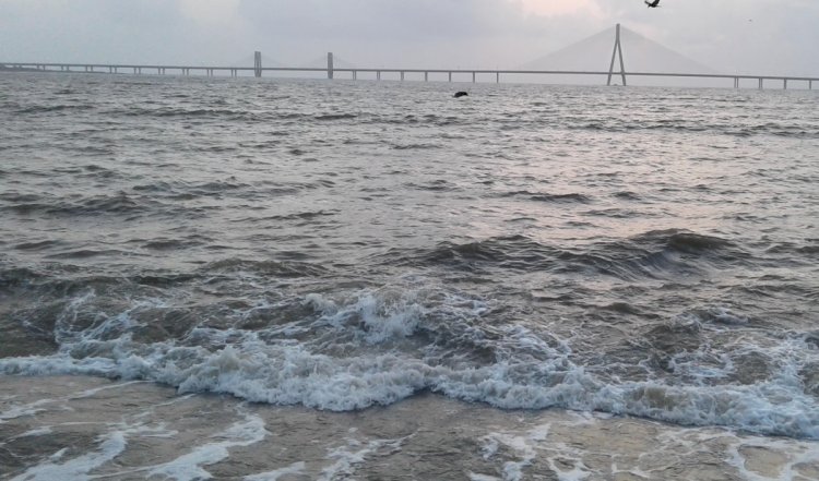 Mumbai: होली मनाने के बाद समुद्र में नहाने गए पांच दोस्तों में से एक की डूबने से मौत, एक अन्य लापता