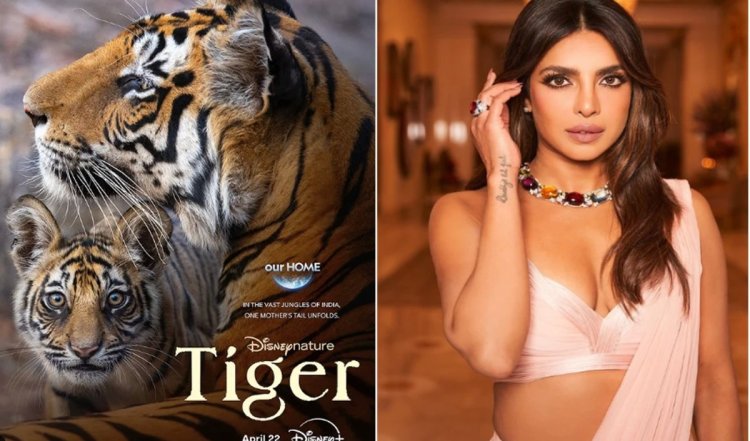 Priyanka Chopra ने की अपनी नयी फिल्म की घोषणा, Tiger नामक ये प्रोजेक्ट जाने कब होगा बड़े पर्दे पर रिलीज | Deets inside
