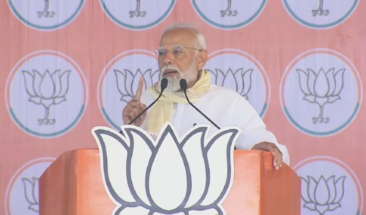 'पूरी दुनिया ने देखा मोहम्मद शमी का कमाल', अमरोहा में बोले पीएम मोदी- यूपी में फिर दो शहजादों की जोड़ी की फिल्म की शूटिंग चल रही है