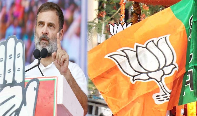 LokSabha Elections 2024: रायबरेली में बीजेपी तैयार कर रही है राहुल विरोधी नेरेटिव