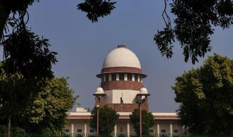 DDA पर अब भरोसा नहीं कर सकते, कोर्ट के आदेश का उल्लंघन कर पेड़ काटने पर SC ने लगाई फटकार