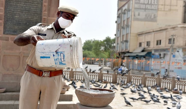 दिन के बाद रात में भी तपा राजस्थान, जैसलमेर में न्यूनतम तापमान 34.0 डिग्री पर
