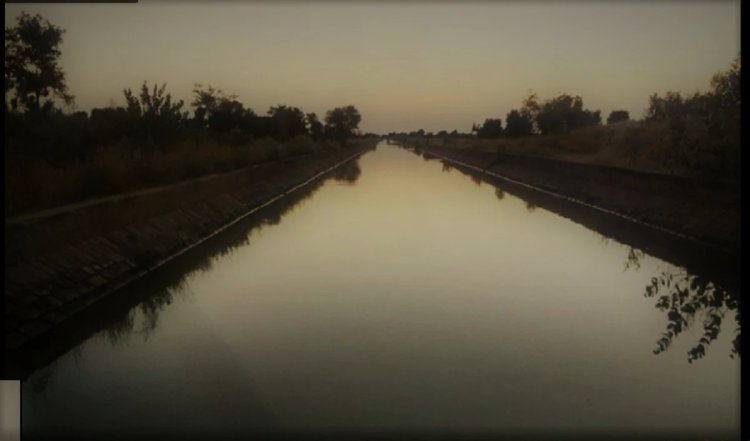 Rajasthan : दसवीं की बोर्ड परीक्षा में आए काम नंबर, छात्र ने नहर में कूदकर आत्महत्या की