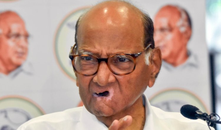 Maharashtra Lok Sabha Election 2024 | शरद पवार की NCP की शांतिपूर्ण क्रांति, 10 की 10 सीटों पर बढ़त बनायी