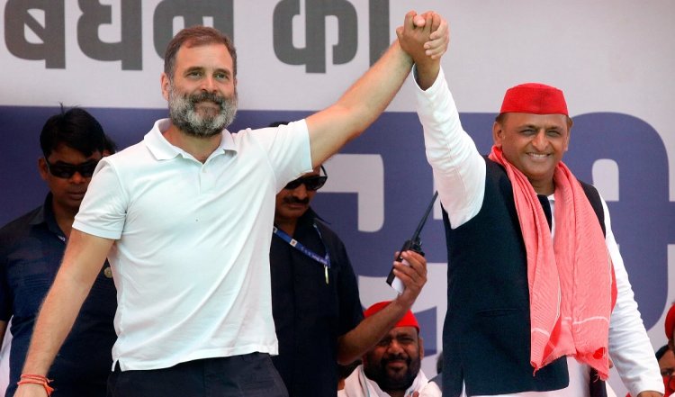 अभी फैसला नहीं किया कि किस सीट का प्रतिनिधित्व करूंगा: Rahul Gandhi