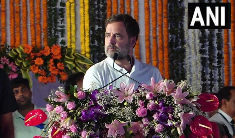 राहुल गांधी बनेंगे लोकसभा में विपक्ष के नेता? उठने लगी मांग, कांग्रेस सांसद ने कही बड़ी बात