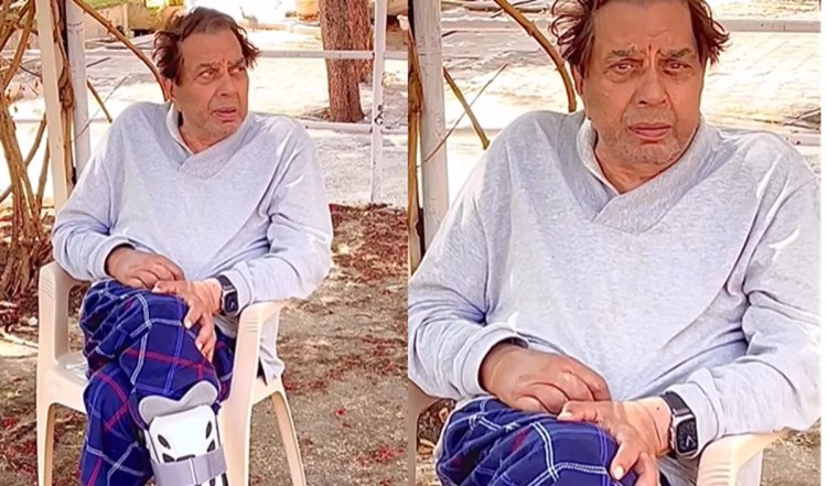 दिग्गज एक्टर Dharmendra ने पैर पर प्लास्टर लगा वीडियो शेयर किया, खुद को बताया 'जख्मी शेर' | Watch Video
