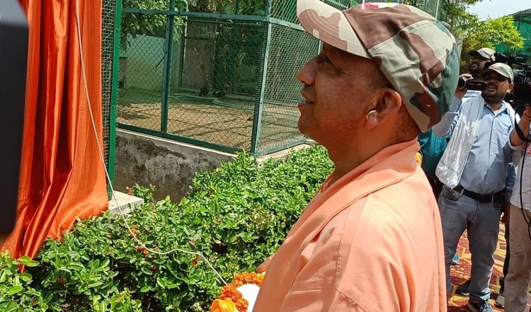 Gorakhpur में अब लोग देख सकेंगे बब्बर शेर, CM Yogi ने चलो अंदर जाओ कहा, तो बाड़े में घुसे शेर