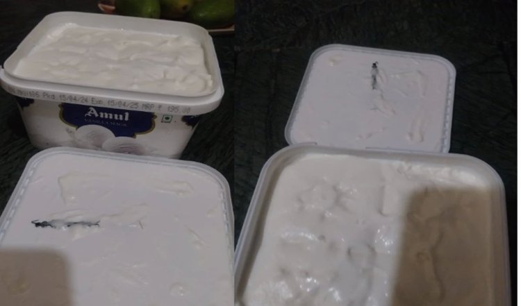 Horror Incident! ऑनलाइन ऑर्डर की गई Amul Ice Cream में निकला काले रंग का लंबा सा कनखजूरा, देखकर हो सकती है उल्टी | Watch Shocking VIDEO