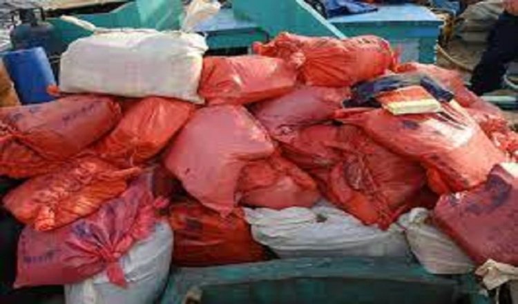 Maharashtra: ठाणे में एक व्यक्ति गिरफ्तार,17.2 लाख की चरस जब्त