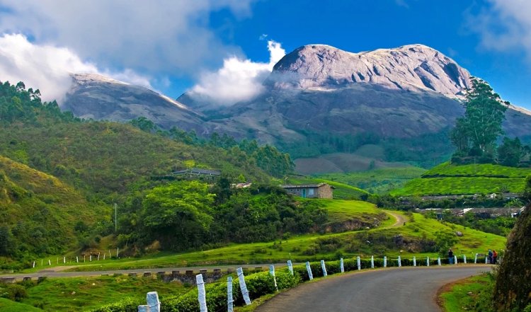 जून तक उत्तर भारत में चाय उत्पादन में छह करोड़ किलोग्राम की कमी आने की संभावना