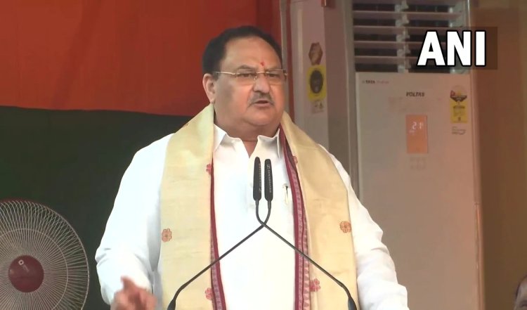 क्या बढ़ेगा भाजपा अध्यक्ष के तौर पर JP Nadda का कार्यकाल? राज्यसभा में सदन के नेता बनाए जाने की भी संभावना