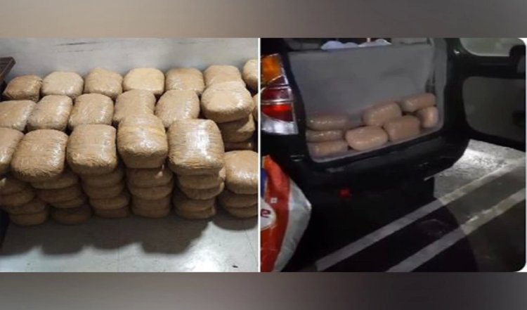NCB ने महाराष्ट्र के अहमदनगर में 111 किलोग्राम गांजा जब्त किया, चार गिरफ्तार