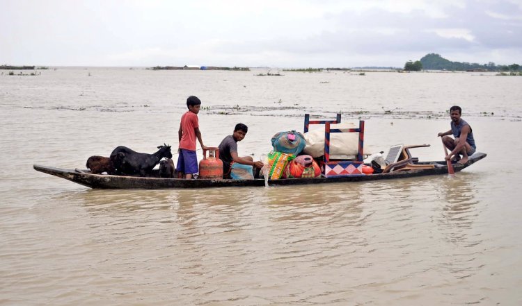 असम में बाढ़ से बदतर हुए हालात, 6 लाख से ज्यादा लोग प्रभावित, काजीरंगा नेशनल पार्क भी जलमग्न