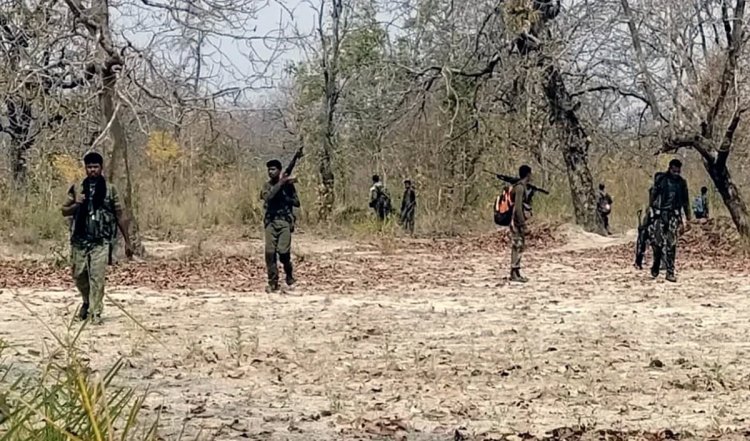 Chhattisgarh के बीजापुर में सात नक्सलियों को किया गया गिरफ्तार