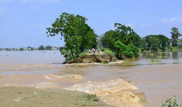Assam में बाढ़ प्रभावितों की संख्या घटकर 2.72 लाख हुई, नए इलाके जलमग्न