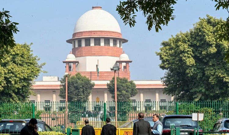 क्या है जीएम सरसों विवाद, जिसको लेकर सुप्रीम कोर्ट ने दिया स्प्लिट जजमेंट