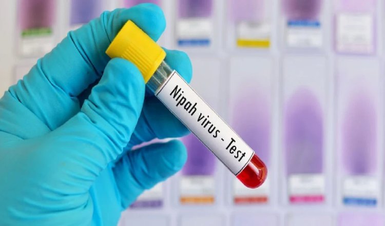 Nipah से मरने वाले के करीबियों की जांच रिपोर्ट नेगेटिव आई है: केरल की स्वास्थ्य मंत्री