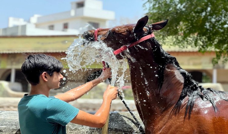 अत्यधिक गर्मी को प्राकृतिक आपदाओं की सूची में शामिल करने के अनुरोध को फाइनेंस पैनल ने किया खारिज, जानें वजह