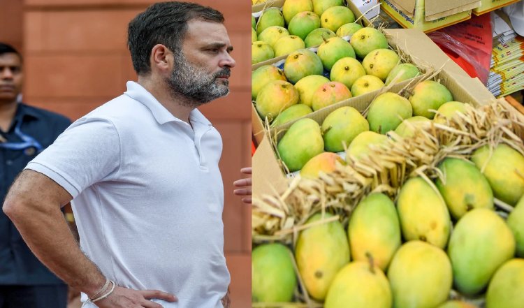 Pakistan ने राहुल गांधी को भेजा आम, बीजेपी ने पूछा- चूसने को इतना बेताब क्यों हैं कांग्रेस नेता