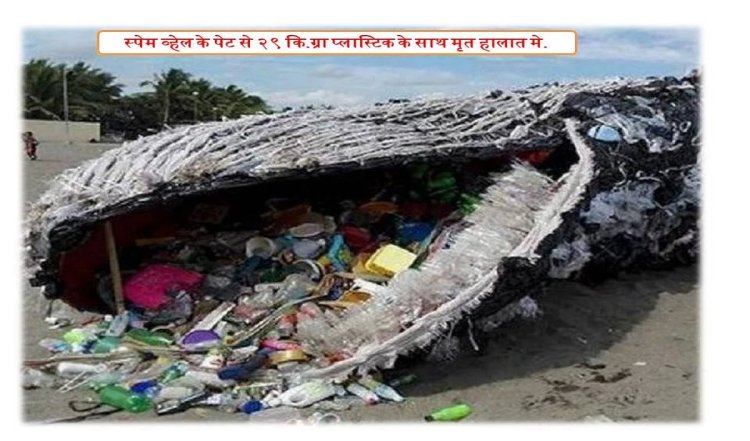 प्लास्टिक प्रदूषण की तीव्रता पर्यावरण और संपूर्ण इको सिस्टम पर प्रतिकूल प्रभाव डालती है: श्री मगनभाई पटेल
