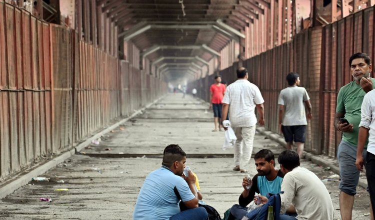 अजब बिहार की गजब कहानी, नदी या सड़क के बिना ही बीच खेत में ही बना दिया पुल, जांच के आदेश