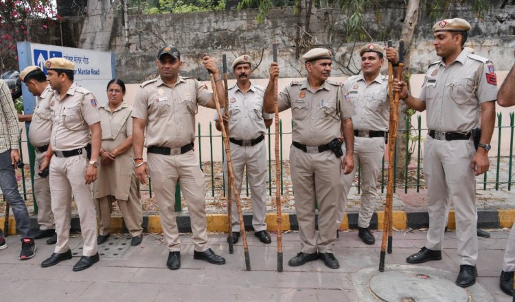 दिल्ली पुलिस अब 'तितलियों' और 'कबूतरों' के चक्कर में हो रही परेशान, अपराध की दुनिया से जुड़ा ये नया मुद्दा आखिर क्या है?