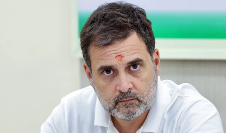 Rahul Gandhi को Rae Bareli और Wayanad से लोकसभा चुनाव लड़ने के लिए कांग्रेस से मिली इतनी रकम, चुनाव आयोग के पास पहुंचा ब्योरा