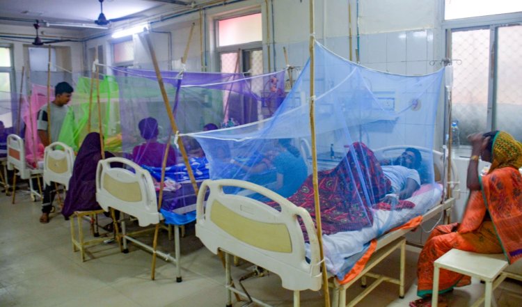Karnataka Dengue | कर्नाटक में महामारी की तरह बढ़ रहे हैं डेंगू के मामले, सरकार ने वृद्धि के बीच इसे महामारी रोग के रूप में अधिसूचित किया
