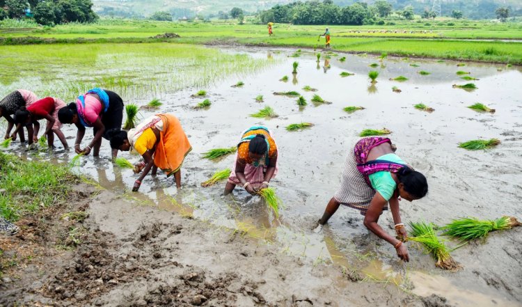 North Karnataka के 15 हजार से अधिक किसानों के बहुरेंगे दिन