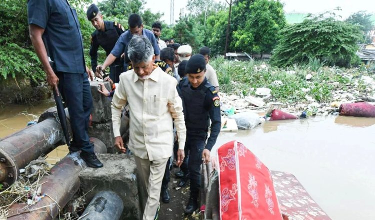 तिरुपति के लड्डू में जानवरों की चर्बी का इस्तेमाल, चंद्रबाबू नायडू का आरोप, YSR कांग्रेस ने किया पलटवार