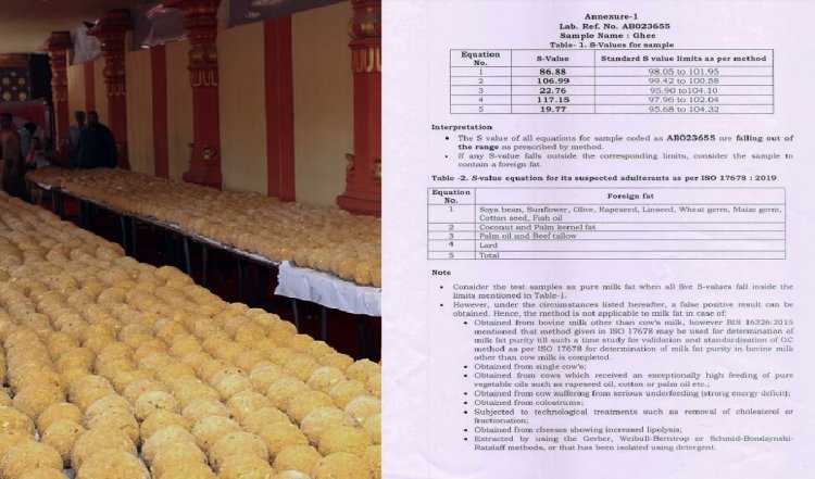 Animal Fat in Tirupati Laddu: तिरुपति प्रसाद में जानवर की चर्बी, नेशनल डेयरी डेवलपमेंट बोर्ड ने किया कंफर्म