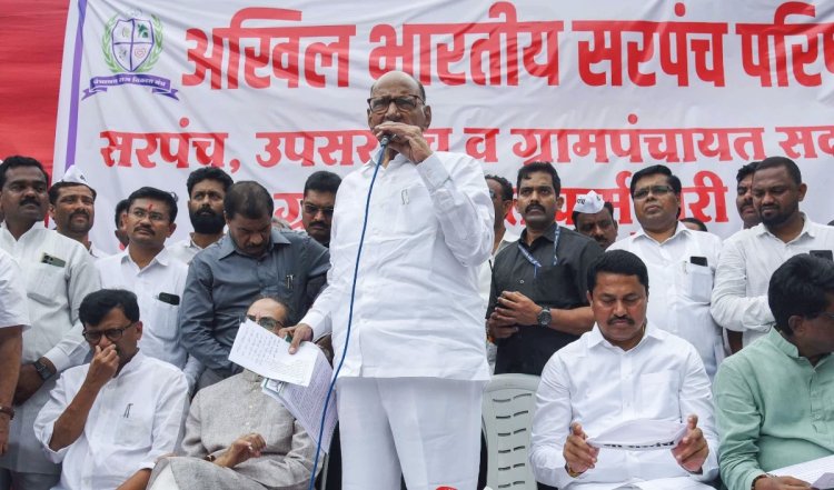 BJP के गढ़ माने जाने वाले Wardha में शरद पवार ने की सेंधमारी, पार्टी को विधानसभा चुनाव में वापसी की उम्मीद