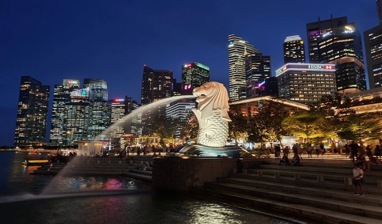 Singapore में चूहों का आतंक, निपटने के लिए हो रही पूरी तैयारी
