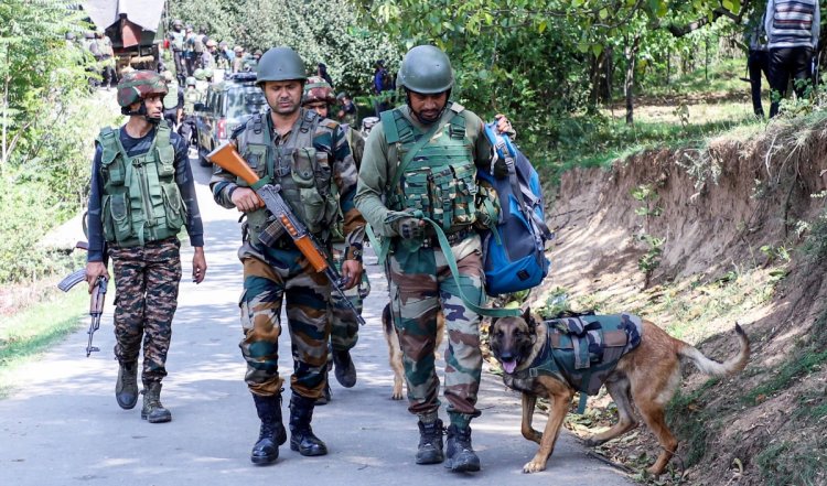 Jammu And Kashmir के कठुआ में आतंकवाद रोधी अभियान जारी, ताजा गोलीबारी की खबर नहीं