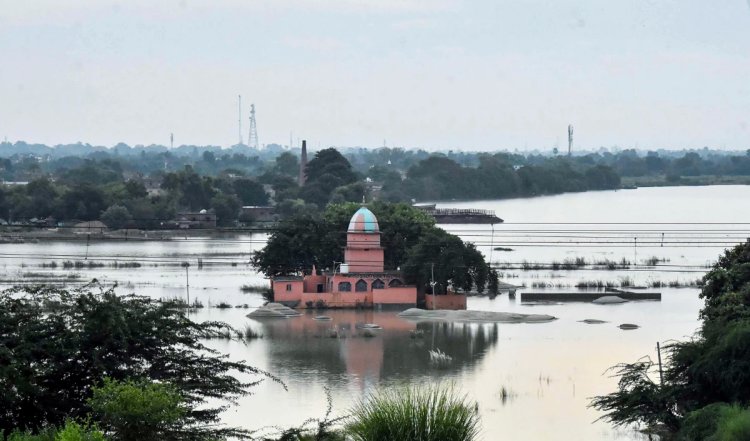 Bihar Food: बिहार में बाढ़ से तबाही, 16 जिलें प्रभावित, उफान पर कोसी, गंडक और बागमती जैसी प्रमुख नदियां