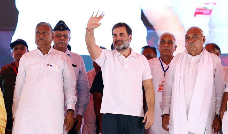 Haryana Assembly Elections | हरियाणा में कांग्रेस ने बागियों के खिलाफ कार्रवाई की, बीएस हुड्डा के विश्वासपात्र की बेटी समेत 10 नेताओं को पार्टी से निकाला