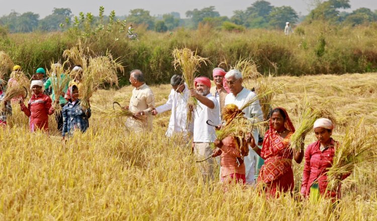 हरियाणा में प्रचार के दौरान राहुल ने सोनीपत के एक गांव में एक ग्रामीण परिवार से मुलाकात की