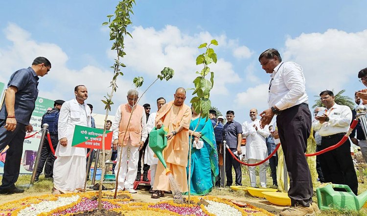 उप्र में 20 जुलाई से 20 सितंबर के बीच लगाए गए 36.80 करोड़ से अधिक पौधे
