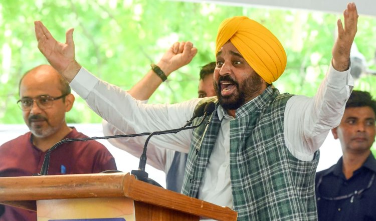 पंजाब: मुख्यमंत्री मान के हस्तक्षेप के बाद चावल मिल मालिकों ने हड़ताल खत्म की