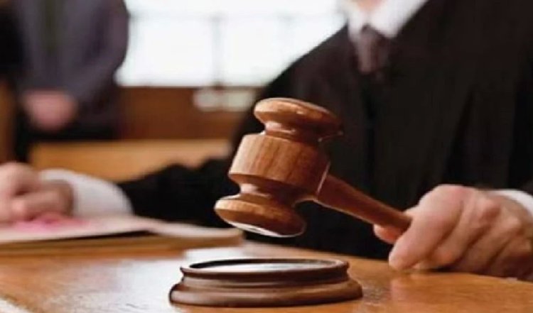 दिल्ली की अदालत ने वीवो से जुड़े धन शोधन मामले में सीए को जमानत दी