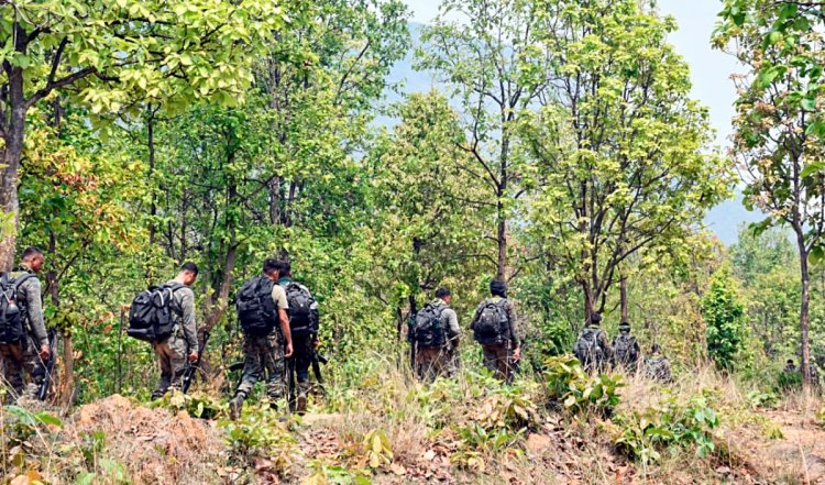 Pahalgam Attackers | निहत्थे- मासूम पर्यटकों की हत्या करने वाले कायर आतंकी पीर पंजाल की पहाड़ियों में छिपे बैठे है? कश्मीर में पहले भी कर चुके है हमले : रिपोर्ट